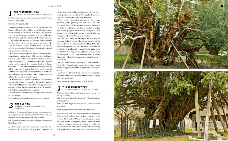 The Ancient Tree Explorer: Over 300 Heritage Trees and Forests in Britain (Travel Guide) - Julian Hight [KSIĄŻKA]