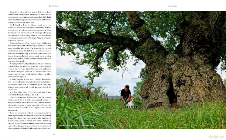 The Ancient Tree Explorer: Over 300 Heritage Trees and Forests in Britain (Travel Guide) - Julian Hight [KSIĄŻKA]