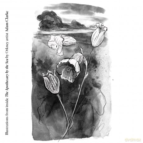 The Apothecary by the Sea: A Year in an Orkney Garden - Victoria Bennett [KSIĄŻKA]