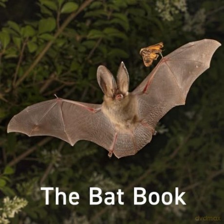 The Bat Book: 17 (Nature book series) - Hugh Warwick [KSIĄŻKA]