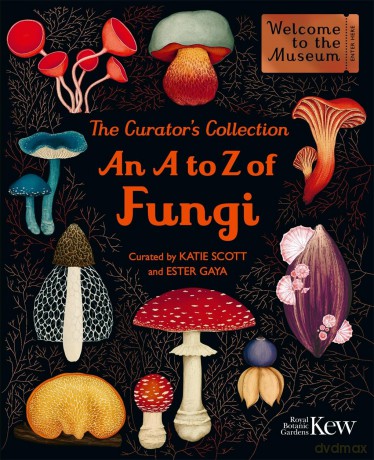 The Curator's Collection: An A to Z of Fungi: A pocket-sized Welcome to the Museum gift edition - Ester Gava [KSIĄŻKA]