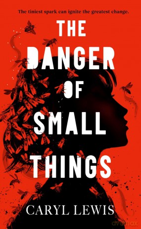 The Danger of Small Things: The YA debut from an award-winning and bestselling Welsh storyteller - Caryl Lewis [KSIĄŻKA]