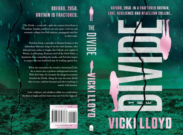 The Divide - Vicki Lloyd [KSIĄŻKA]