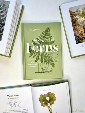 The Elegance of Ferns: Portrait of a Botanical Marvel (Marvels of Nature, 3) - Solvejg Nitzke [KSIĄŻKA]