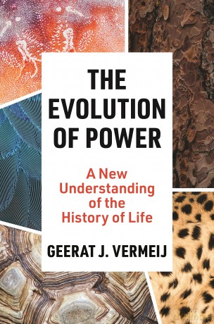 The Evolution of Power: A New Understanding of the History of Life [KSIĄŻKA]