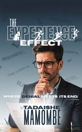 The Experience Effect - Tadaishe Mamombe [KSIĄŻKA]