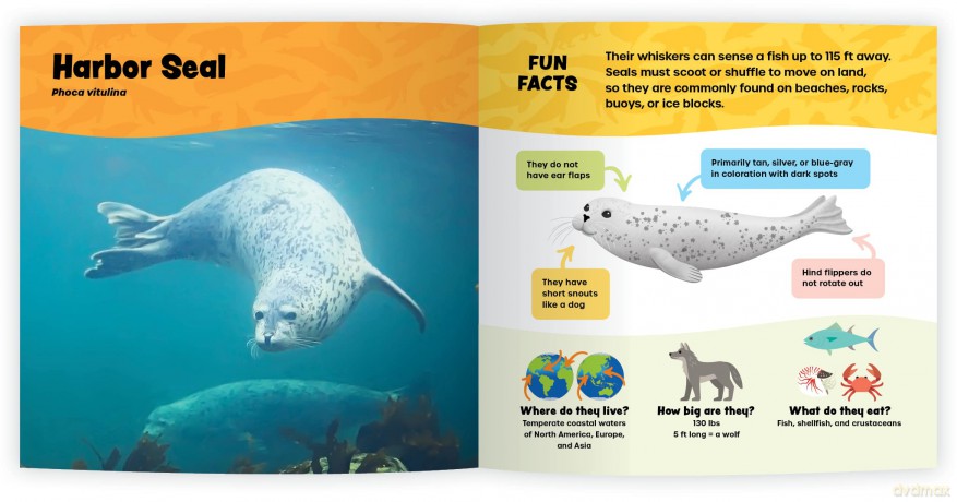 The Fantastic World of Marine Mammals - Iain Kerr [KSIĄŻKA]