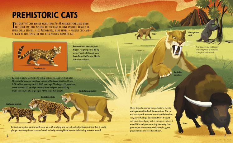 The Furry History of Cats - Clive Gifford [KSIĄŻKA]