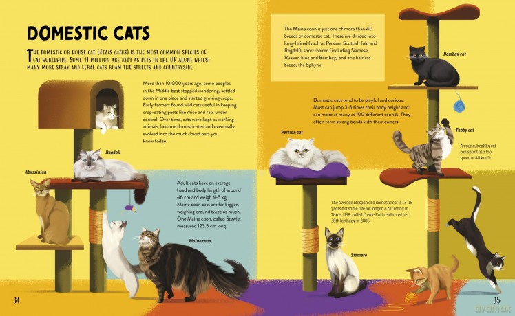 The Furry History of Cats - Clive Gifford [KSIĄŻKA]