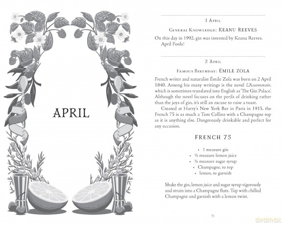 The Gin Drinker's Year: Drinking and Other Things to Do With Gin; Day by Day, Season by Season - A Recipe Book - Tara Richardson [KSIĄŻKA]