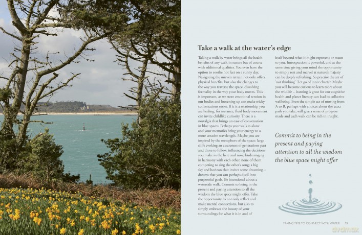 The Healing Power of Water: The essential guide to blue health - Lizzi Larbalestier [KSIĄŻKA]