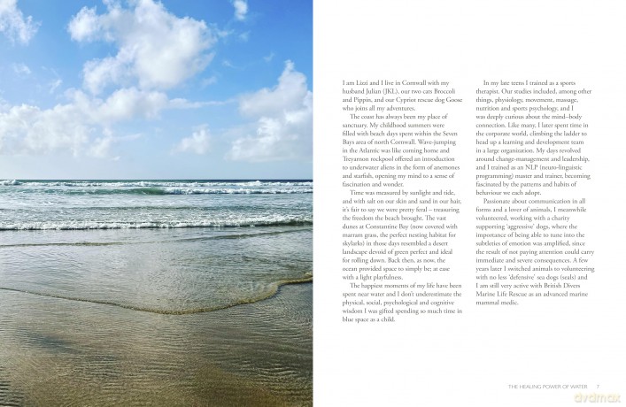 The Healing Power of Water: The essential guide to blue health - Lizzi Larbalestier [KSIĄŻKA]