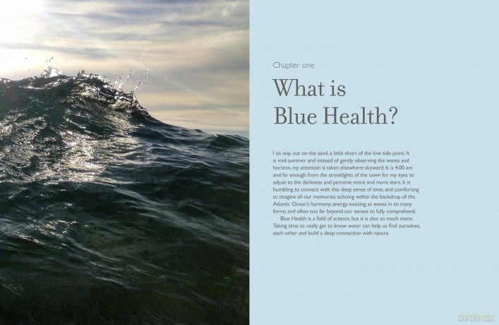 The Healing Power of Water: The essential guide to blue health - Lizzi Larbalestier [KSIĄŻKA]