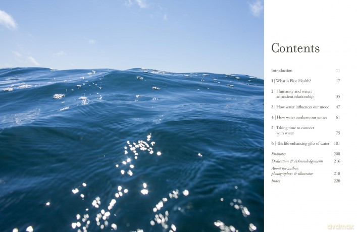 The Healing Power of Water: The essential guide to blue health - Lizzi Larbalestier [KSIĄŻKA]