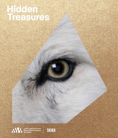 The Hidden Treasures of the Natural History Museum Abu Dhabi - Natural History Muse [KSIĄŻKA]