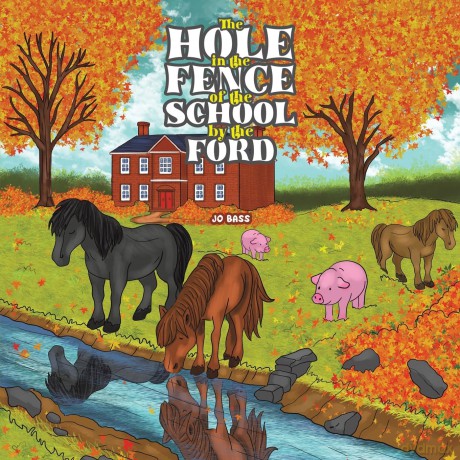 The Hole in the Fence of the School by the Ford - Jo Bass [KSIĄŻKA]