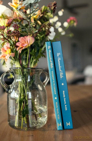The Homeschool Bible: Everything You Need to Build a Thriving Home Education - Mandy Davis [KSIĄŻKA]
