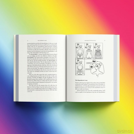 The Hormone Loop: Understanding Your Body from Puberty to Menopause and Beyond - Gillian Goddard [KSIĄŻKA]