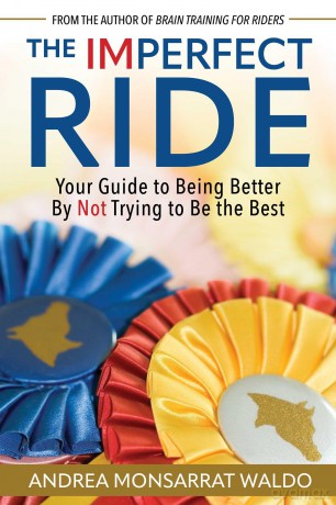 The Imperfect Ride: Your Guide to Being Better By Not Trying to Be the Best - Andrea Waldo [KSIĄŻKA]