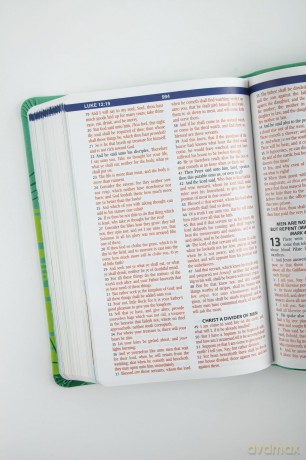 The KJV Kids' Devotional Bible: Featuring Art from the Popular 365 Best Loved Bible Stories for Kids - Barbour Bibles [KSIĄŻKA]
