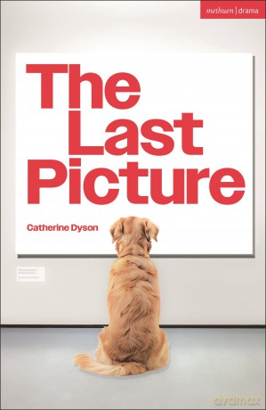 The Last Picture (Modern Plays) - Catherine Dyson [KSIĄŻKA]