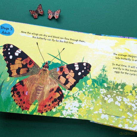 The Life Cycle of Butterflies (Life Cycle Board Book) - Nicola Moore [KSIĄŻKA]