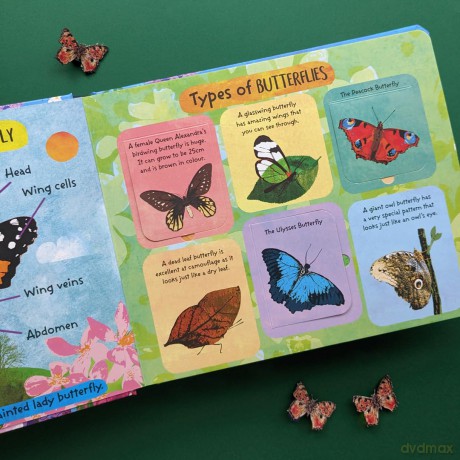 The Life Cycle of Butterflies (Life Cycle Board Book) - Nicola Moore [KSIĄŻKA]