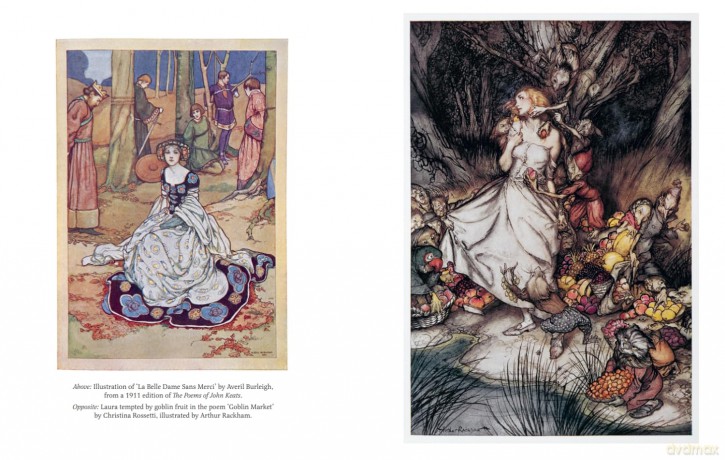 The Little Book of Fairies: 3 (British Library Little Books) - Carolyne Larrington [KSIĄŻKA]