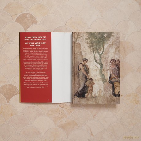The Lost Voices of Pompeii: A gripping history of seven lives on the last day in Pompeii - Jess Venner [KSIĄŻKA]