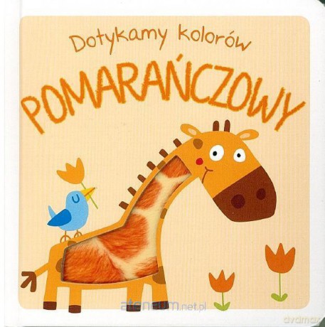 Dotykamy kolorów POMARAŃCZOWY [KSIĄŻKA]