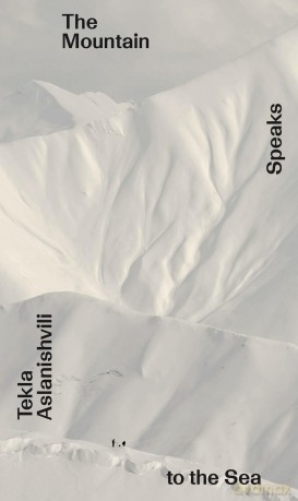 The Mountain Speaks to the Sea: Onomatopee #261 (Systems and Territories, 1) - Silvia Franceschini [KSIĄŻKA]