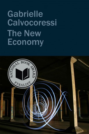 The New Economy [KSIĄŻKA]