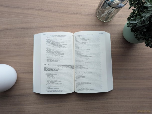 The One Year Chronological Bible The Message - Eugene H. Peterson [KSIĄŻKA]