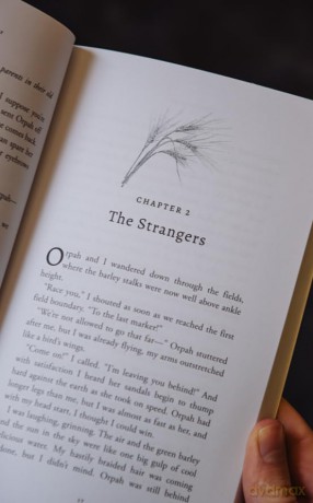 The Outsider: Ruth: A Retelling (A Biblical Fiction Chapter Book for Middle School Kids, Girls and Boys Ages 8-13, Grades 3-8) (Bible Retellings Collection) - Katy Morgan [KSIĄŻKA]