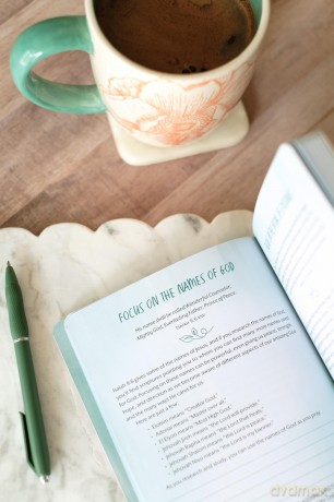 The Overthinker's Devotional Journal: Meditations and Prayers for Refocusing Your Thoughts - Joanne Simmons [KSIĄŻKA]