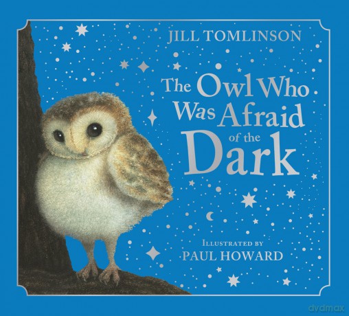 The Owl Who Was Afraid of the Dark Collector's Edition: The beloved children's classic illustrated picture book now in a collectible hardback with foiled slipcase - Paul Howard [KSIĄŻKA]