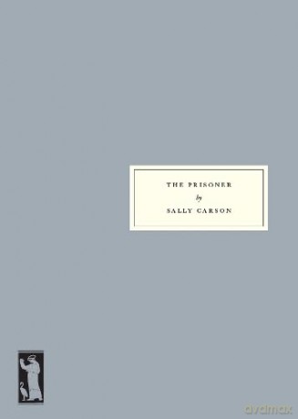 The Prisoner - Sally Carson [KSIĄŻKA]