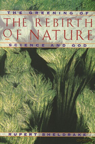 The Rebirth of Nature: The Greening of Science and God - Rupert Sheldrake [KSIĄŻKA]