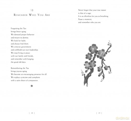 The Sage's Tao Te Ching, 25th Anniversary Edition: Ancient Advice for the Second Half of Life - William Martin [KSIĄŻKA]