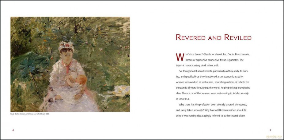 The Second Oldest Profession: The Wet Nurse, Revered and Reviled - Barbara Zucker [KSIĄŻKA]