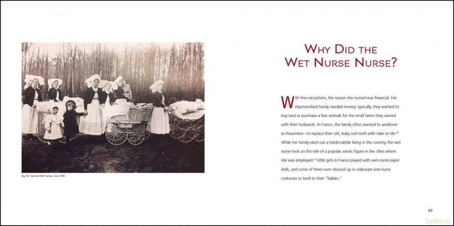 The Second Oldest Profession: The Wet Nurse, Revered and Reviled - Barbara Zucker [KSIĄŻKA]