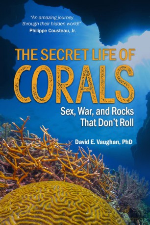The Secret Life of Corals: Sex, War and Rocks That Don't Roll - David Vaughan [KSIĄŻKA]