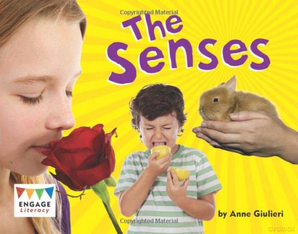 The Senses (Engage Literacy Purple) (Engage Literacy: Engage Literacy Purple) - Anne Giulieri [KSIĄŻKA]
