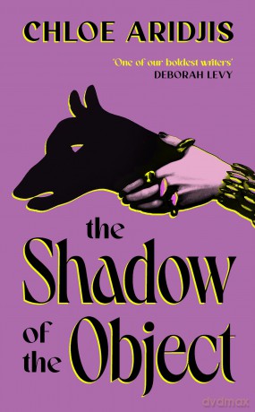 The Shadow of the Object - Chloe Aridjis [KSIĄŻKA]