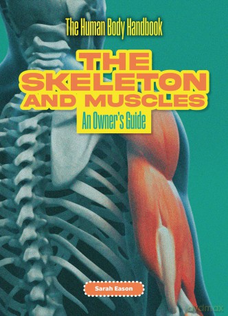 The Skeleton and Muscles: An Owner's Guide (The Human Body Handbook) - Sarah Eason [KSIĄŻKA]