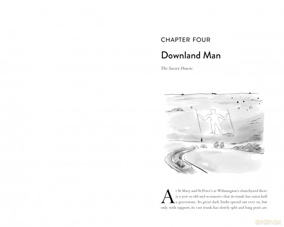 The Tattooed Hills: Journeys to Chalk Figures - Jon Woolcott [KSIĄŻKA]