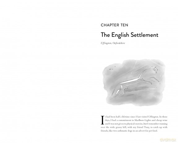 The Tattooed Hills: Journeys to Chalk Figures - Jon Woolcott [KSIĄŻKA]
