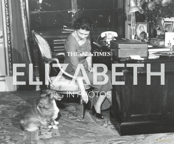 The Times Elizabeth in Photos: A behind-the-scenes photographic history of Queen Elizabeth II and the royal family - Times Books [KSIĄŻKA]