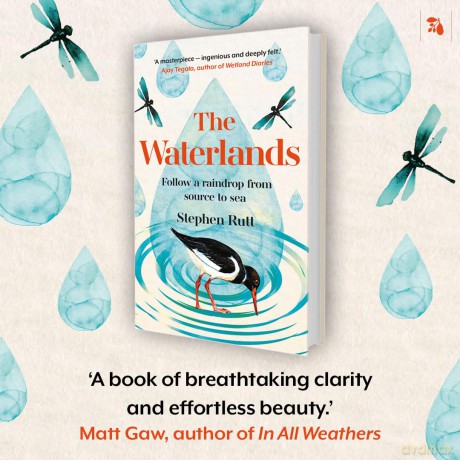 The Waterlands: Follow a Raindrop from Source to Sea - Stephen Rutt [KSIĄŻKA]