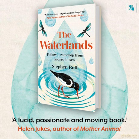 The Waterlands: Follow a Raindrop from Source to Sea - Stephen Rutt [KSIĄŻKA]